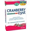 ESI CRANBERRY CYST 30 OVALETTE ESI