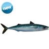 CERAMICHE CALTAGIRONE Pesce Ceramica Sgombro cm 28