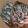 CERAMICHE CALTAGIRONE Pesce Ceramica Mormora cm 20