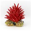CERAMICHE CALTAGIRONE Anemone di mare in ceramica - cm 25