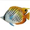 CERAMICHE CALTAGIRONE Pesce in ceramica siciliana Auriga cm 20