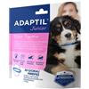Adaptil junior collare