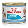 Royal Canin Starter Mousse Mother & Babydog 195 gr 1 confezione (12 x 195 g)