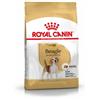 Royal Canin Breed Royal Canin Adult Beagle cibo per cane 3 kg