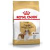Royal Canin Breed Royal Canin Adult Cavalier King Charles cibo per cane 3 kg