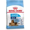 Royal Canin Maxi Starter Mother and Babydog per cane 2 x 4 kg