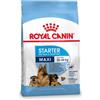 Royal Canin Maxi Starter Mother and Babydog per cane 4 kg