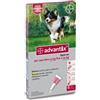 Bayer Advantix Spot-On Antiparassitario per Cani da 10 a 25 kg 4 Pipette
