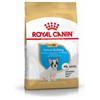 Royal Canin Breed Royal Canin Puppy Bulldog Francese cibo per cane 3 kg