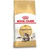Royal Canin Breed Royal Canin Gatto Maine Coon 31 Adult 2 kg