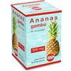 KOS Srl ANANAS GAMBO 90CPR 500MG