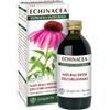 DR.GIORGINI SER-VIS Srl Echinacea Estratto Integrale 200ml Giorgini