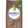 Sanypet Forza 10 Maintenance Medium Adult Agnello e Riso 12 kg Per Cani