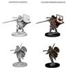 Wizkids Pathfinder Deep Cuts Unpainted Miniatures - Human Female Paladin (2 Units)