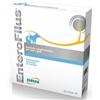DRN EnteroFilus da 12 FL x 10 ML per cani e gati