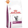 Royal Canin Cat Veterinary Diet Renal - Sacco da 4 Kg