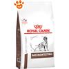 Royal Canin Dog Veterinary Diet Gastrointestinal - Sacco da 7,5 kg