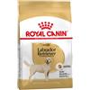 ROYAL CANIN LABRADOR RETRIEVER ADULT KG 12