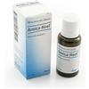 Guna Arnica Heel - Medicinale omeopatico in gocce per uso orale, flacone da 30 ml