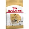 Royal Canin per Cane Pug Adult (Carlino) Formato 1,5kg