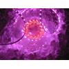1m LED STRIP STRISCIA ROSA VIOLA PINK 12V 60LED/m