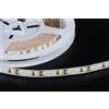SMD2835 5m 120w 600 LED STRIP STRISCIA BIANCO FREDDO 5500k 24w/m C1B5
