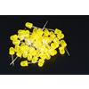 FOGGY 50 DIODI LED LEDS GIALLI 10mm YELLOW LUCE DIFFUSA DIFFUSED A2B11