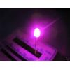 3mm 20 LED ROSA PINK ULTRALUMINOSI 8000mcd