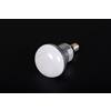R50 E14 7w LED 2835 BIANCO FREDDO LAMPADINA VITE PICCOLA LUCE 360° E1C2