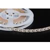 SMD3014 5m 120w 1200 LED STRIP STRISCIA BIANCO FREDDO 6000k 24w/m B9C1