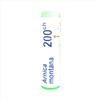 Boiron Arnica Montana 200 CH Omeopatico Monodose 1 g
