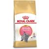 Royal Canin Breed Royal Canin Gattino British Shorthair 10 kg