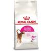 Royal Canin Aroma Exigent per gatto 2 x 10 kg