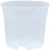 Vaso trasparente per orchidee 12x10,5 cm (n.10 pezzi), ditta Arca