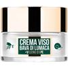 Wonder Company Crema Viso alla Bava di Lumaca - Wonder Bee Snail