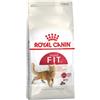 Royal Canin Fit 32 per Gatto Formato 400g