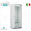 MONDIAL FRAMEC - Armadio Congelatore-Freezer 1 porta vetro, lt.580, Classe E, Mod.ICEPLUSN60