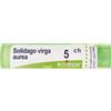 BOIRON Solidago Virga Aurea 5Ch Granuli Multidose Boiron
