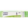 BOIRON Ambra Grisea 5Ch Granuli Multidose Boiron