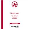 MOLECO LABORATOIRES Srls Sebolyse Fisioshampoo Trattante 250 Ml