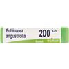 BOIRON Echinacea Angust 200 Ch Dose 2020