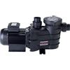 HAYWARD Pompa PowerFlo2 100