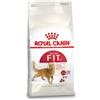 Royal Canin Regular Fit 32 per gatto 4 kg