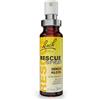 Schwabe Pharma Rescue Spray Senza Alcol, 20ml