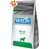 Farmina Dog Vet Life Renal - Sacco da 2 kg