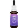 BUSH BIOTHERAPIES Pty Ltd TRAVEL ESS.AUSTRAL.Gtt 30ml