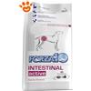 Forza10 Dog Intestinal Active - Sacco da 4 kg
