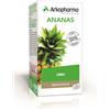 ARKOFARM Srl Arkopharma Ananas Gambo 45 Capsule - Integratore Alimentare con Gambo d'Ananas
