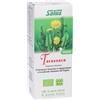SALUS HAUS Gmbh & Co KG SALUS Tarassaco, Integratore Naturale, 200 ml, Depurazione e Benessere Digestivo