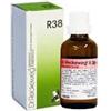 DR.RECKEWEG & CO. GmbH Reckeweg R38 22ml Gocce - Rimedio Omeopatico per Affezioni Addominali